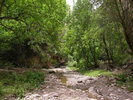 photo thumbnail #11