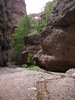 photo thumbnail #12