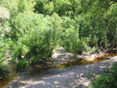 photo thumbnail #3