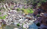 photo thumbnail #12