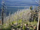 photo thumbnail #3