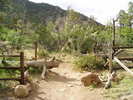 photo thumbnail #8