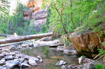 photo thumbnail #15