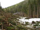 photo thumbnail #3