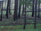 photo thumbnail #10