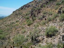 photo thumbnail #4