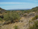 photo thumbnail #10