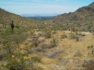 photo thumbnail #13