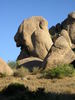 photo thumbnail #1
