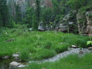 photo thumbnail #8