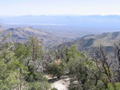 photo thumbnail #1