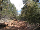 photo thumbnail #1