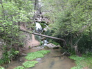 photo thumbnail #4