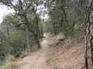 photo thumbnail #8