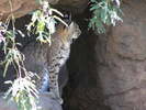 photo thumbnail #10