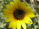 photo thumbnail #14