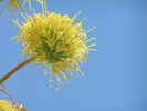 photo thumbnail #15