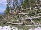 photo thumbnail #4