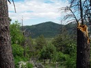 photo thumbnail #11
