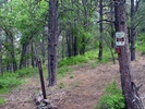 photo thumbnail #12