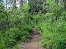 photo thumbnail #13