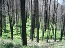 photo thumbnail #4