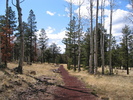 photo thumbnail #3