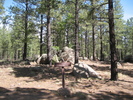 photo thumbnail #1