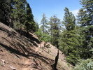 photo thumbnail #2