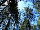 photo thumbnail #12