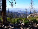 photo thumbnail #15