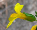 Featured Detail Photo