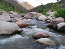 photo thumbnail #1