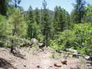 photo thumbnail #1
