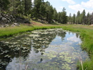 photo thumbnail #3