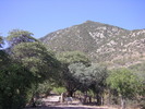 photo thumbnail #1
