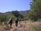 photo thumbnail #2
