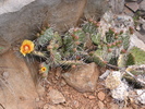 photo thumbnail #6