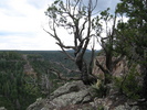 photo thumbnail #8