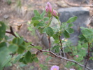 photo thumbnail #14