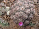 photo thumbnail #15