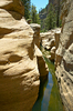 photo thumbnail #14