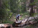 photo thumbnail #4