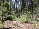 photo thumbnail #5