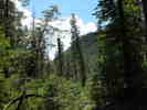 photo thumbnail #7