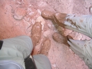 photo thumbnail #11