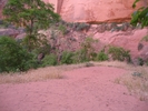 photo thumbnail #13