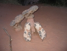 photo of comment