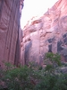 photo thumbnail #15