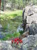 photo thumbnail #1